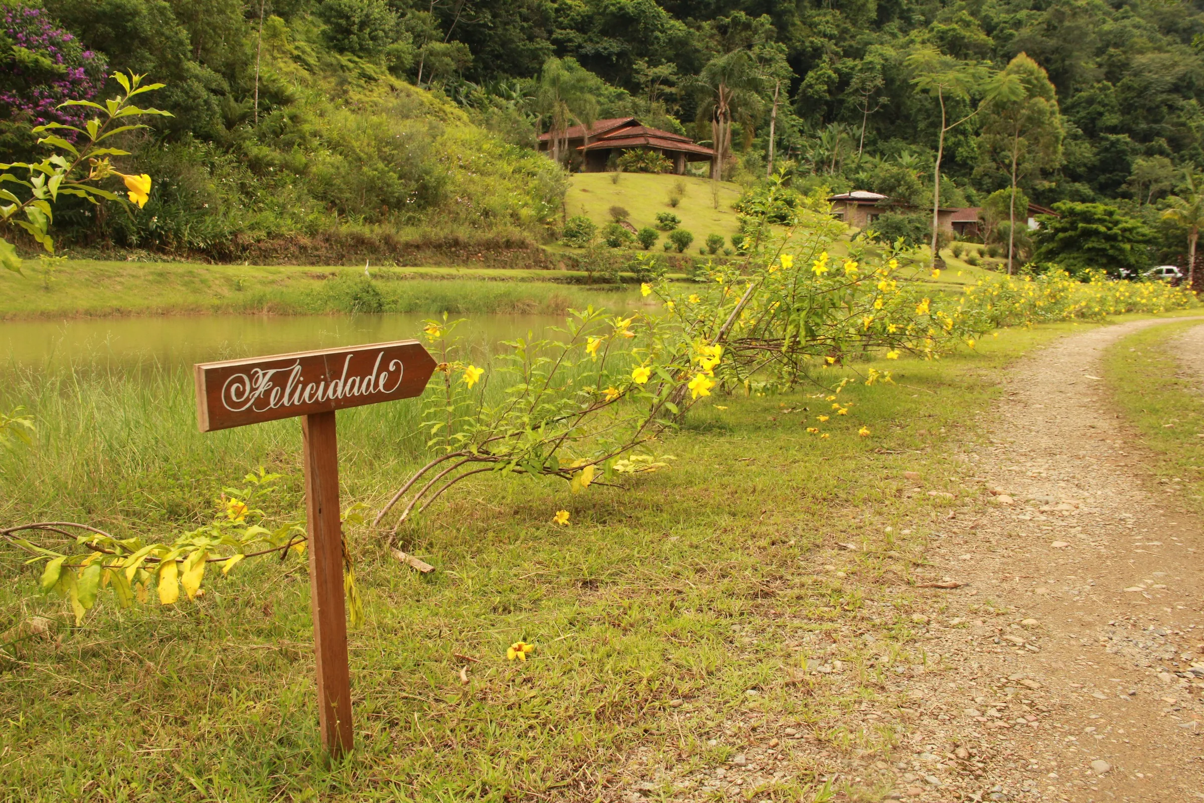 Caminho pela Mata Atlântica